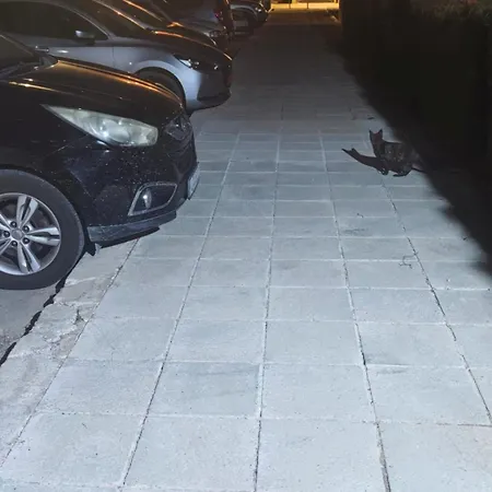 Sunset 03 * פאפוס