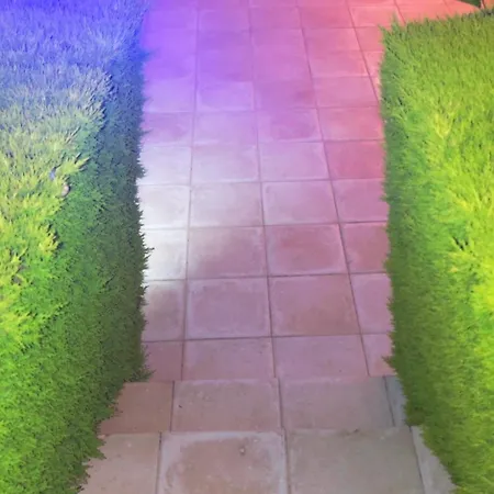 Sunset 03 דירה פאפוס