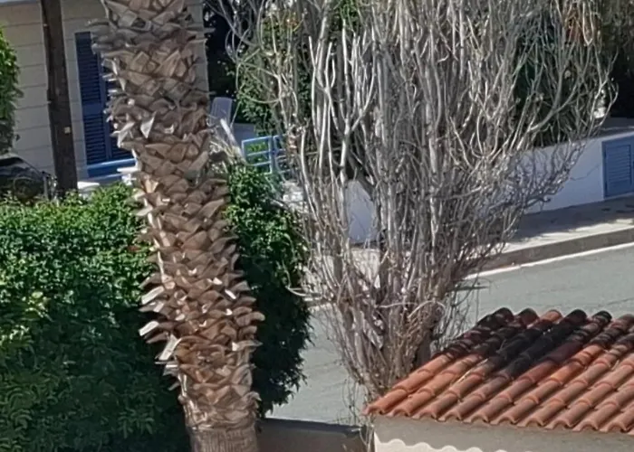 Sunset 03 * パ フォス