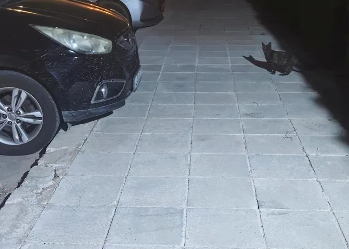 Sunset 03 * パ フォス